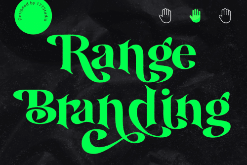 Amidala Serif Font 4