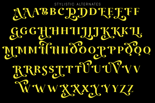 Amidala Serif Font 7