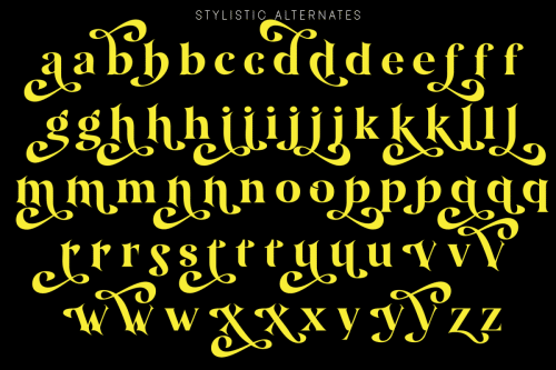 Amidala Serif Font 8