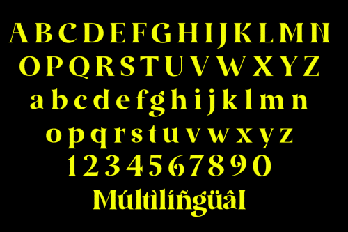 Amidala Serif Font 9