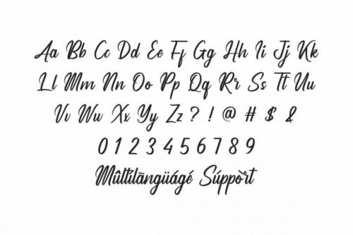 Analyzer Calligraphy Font 2