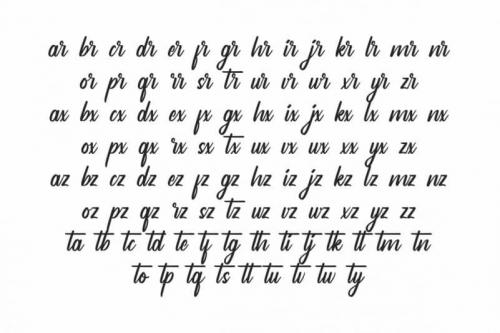 Analyzer Calligraphy Font 4