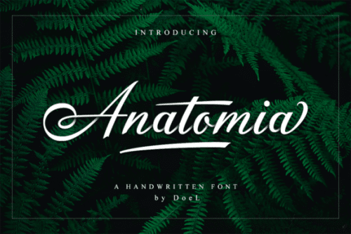 Anatomia Script Font 1