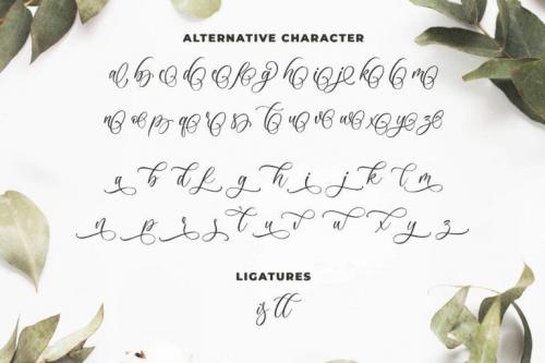 Anelisa Calligraphy Font 5