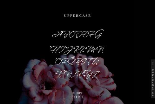 Anggrek Script Font 2