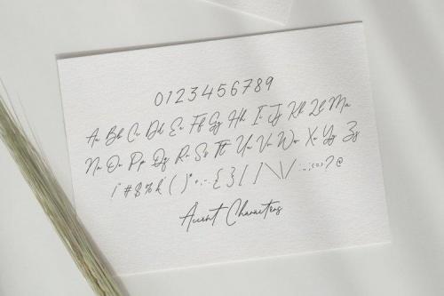 Antonio Fischer Signature Monoline Font 6