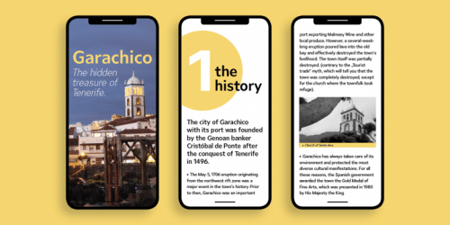 Ardena Sans Serif Font 10