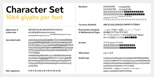 Ardena Sans Serif Font 11