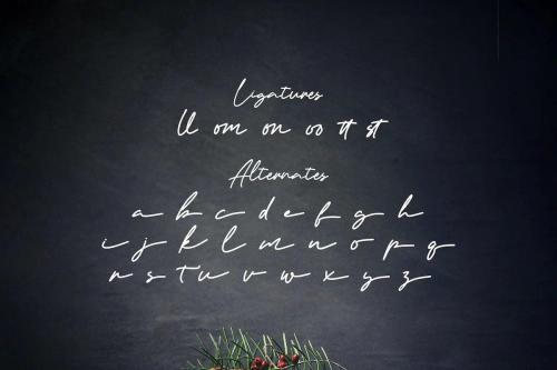 Artemay Bright Handwritten Font 14