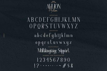 Aulion Font Duo 9