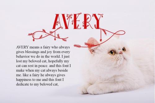Avery Display Font  1
