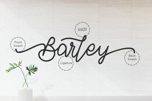 Barley Monoline Calligraphy Font 7