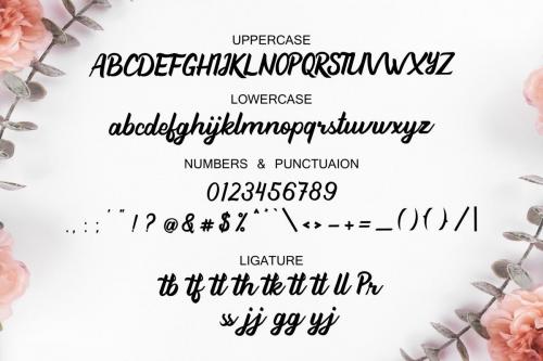 Beathy Brush Script Font 7