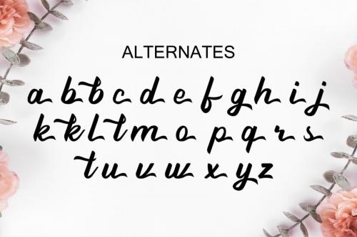 Beathy Brush Script Font 8