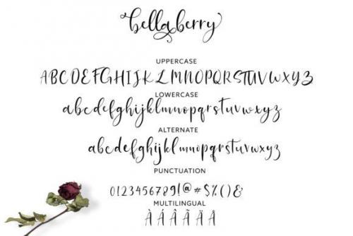 BellaBerry Script Font 5