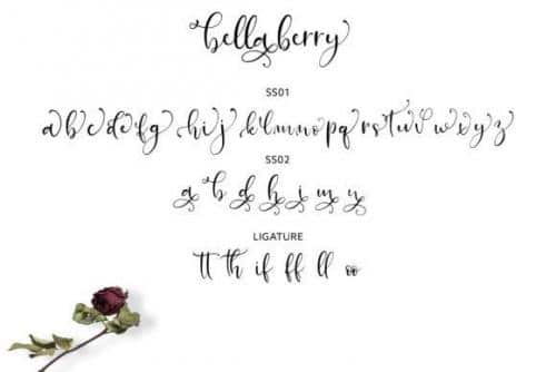 BellaBerry Script Font 6