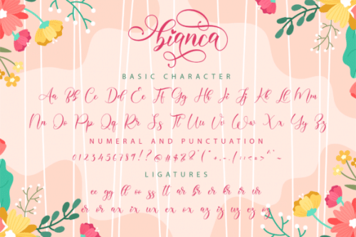 Bianca Calligraphy Font 7