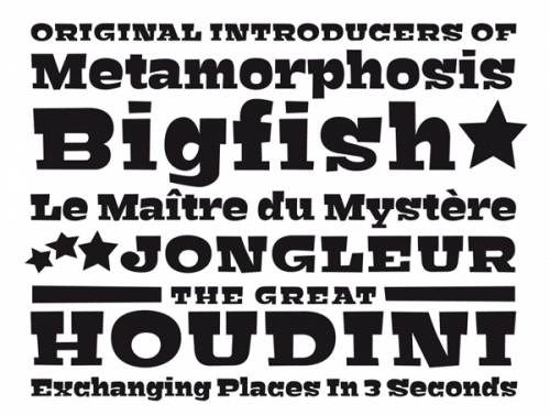 Bigfish Typeface 1