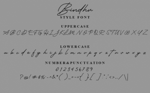 Bindhu Handwritten Font 3