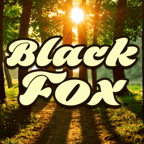 Black Fox Font