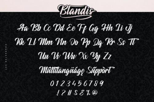 Blandis Brush Font 4