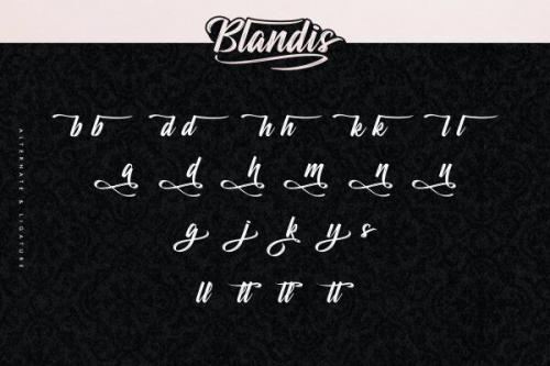 Blandis Brush Font 5