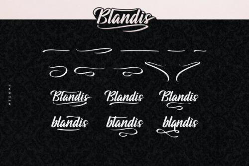 Blandis Brush Font 7