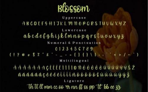 Blossom Font 2