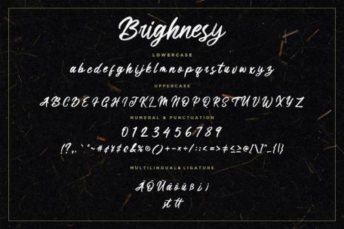 Brighnesy Brush Font 7
