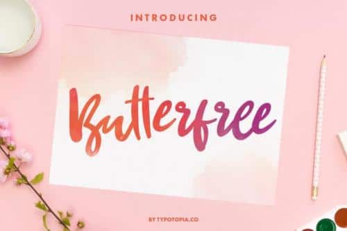 Butterfree Girly Script Font