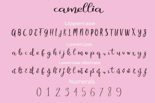 Camellia Font 1