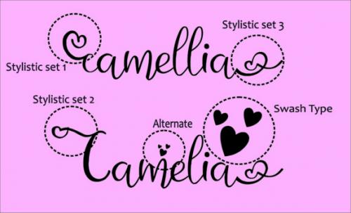 Camellia Font 2