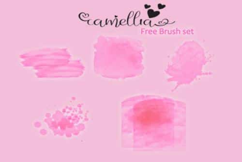 Camellia Font 4 (1)