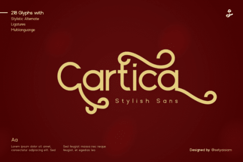 Cartica Sans Serif Font 1