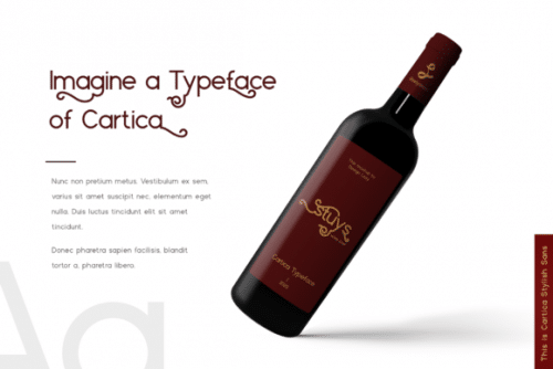 Cartica Sans Serif Font 4