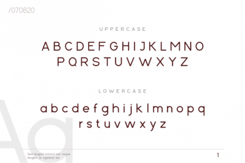 Cartica Sans Serif Font 6