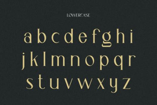 Cassiopeia Serif Font 4