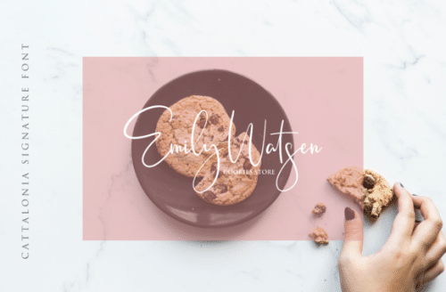 Cattalonia Signature Font 2