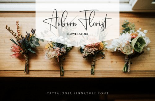 Cattalonia Signature Font 4