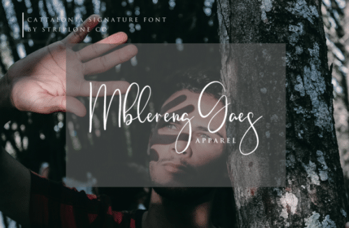 Cattalonia Signature Font 6