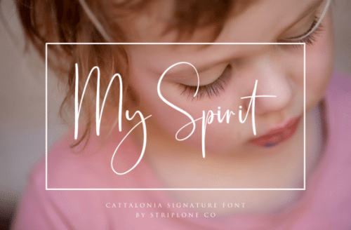 Cattalonia Signature Font 8