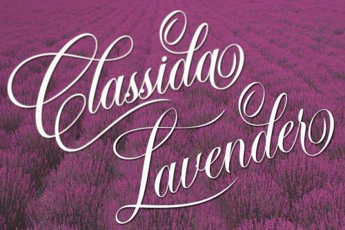 Chandiluna Calligraphy Font 10