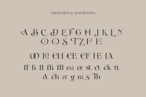 Cigra Serif Font 7