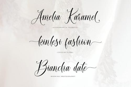 Daniella Calligraphy Font 11