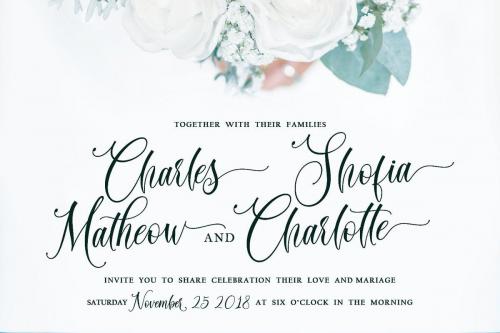 Daniella Calligraphy Font 7