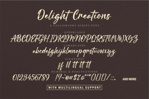 Delight Creations Script Font 5