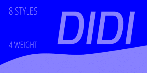 Didi Sans Serif Font 1