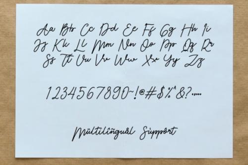 Enttosa Script Font 6
