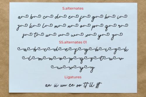 Enttosa Script Font 7