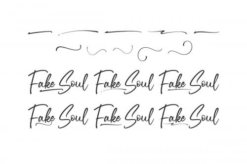 Fake Soul Script Font 8